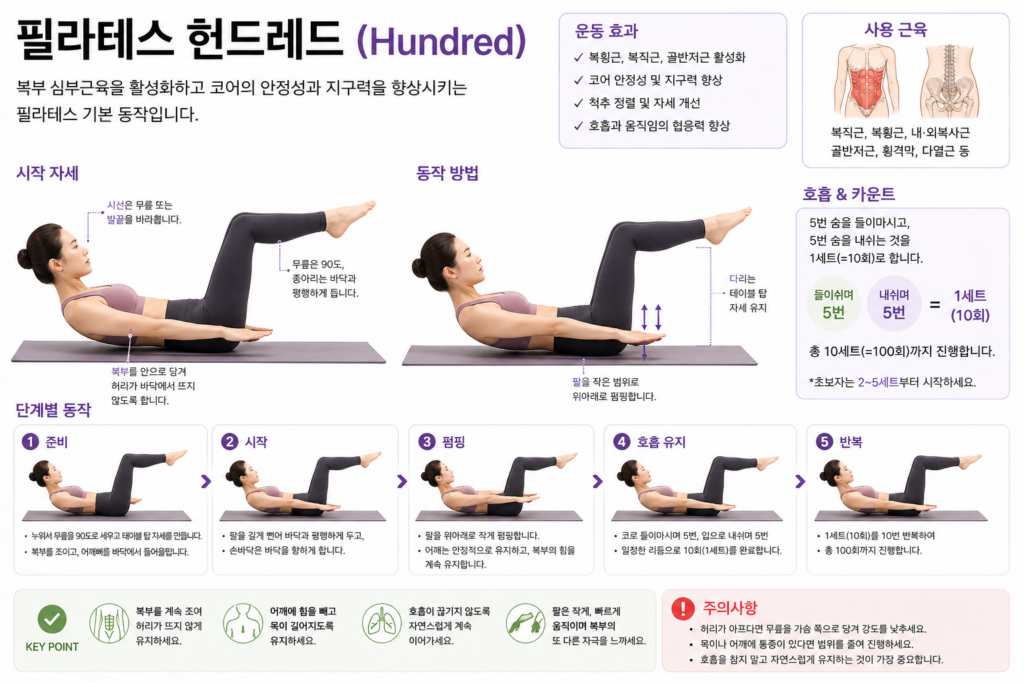 필라테스 헌드레드 설명